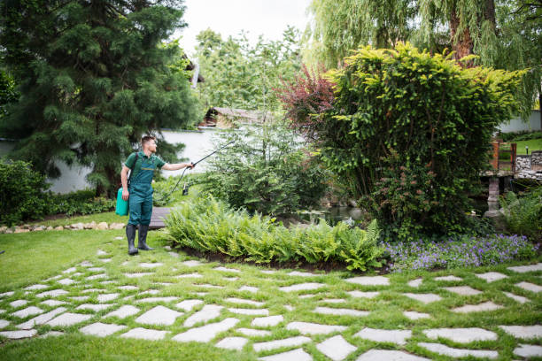 Best Best Pest Control Companies  in Tiger Point, FL