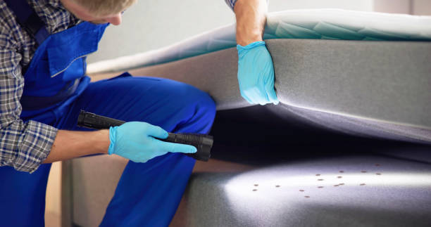 Best Residential Pest Control  in Tiger Point, FL