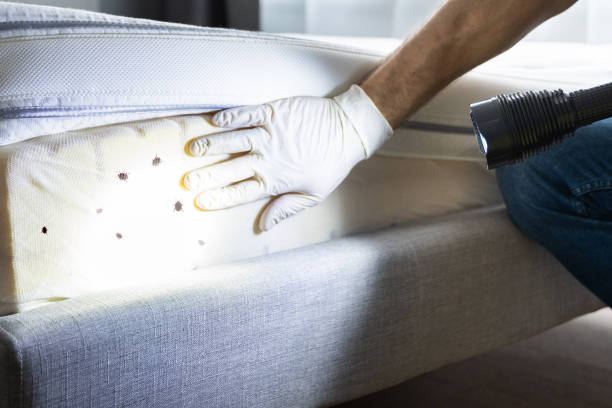 Professional Pest Control in Tiger Point, FL